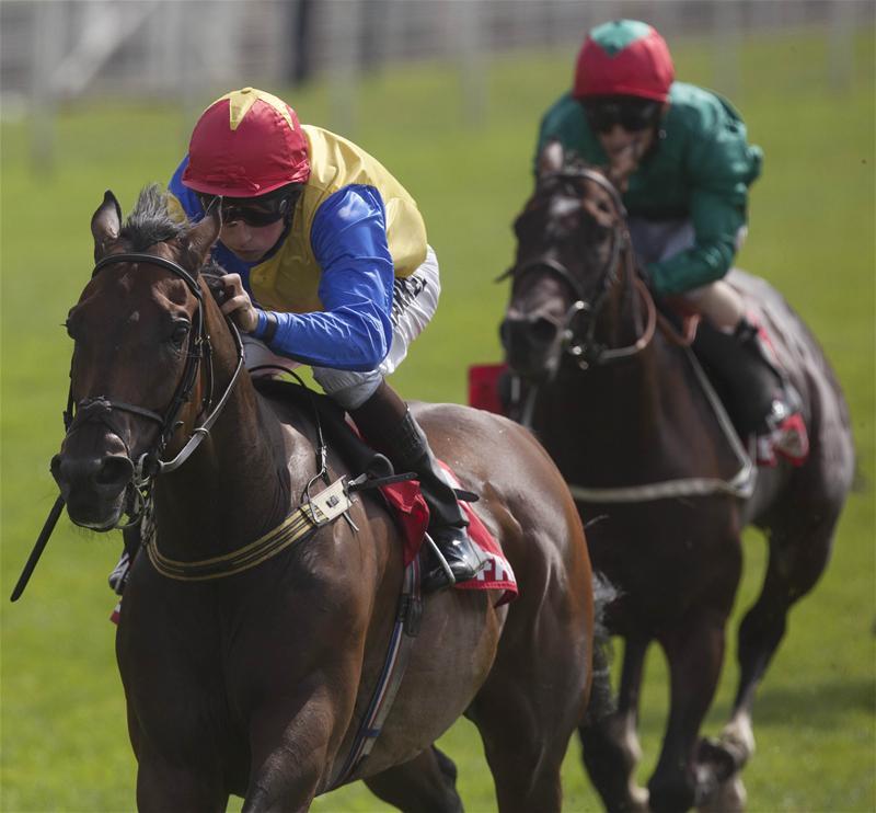 Connections unsure on next Gordon Lord Byron move