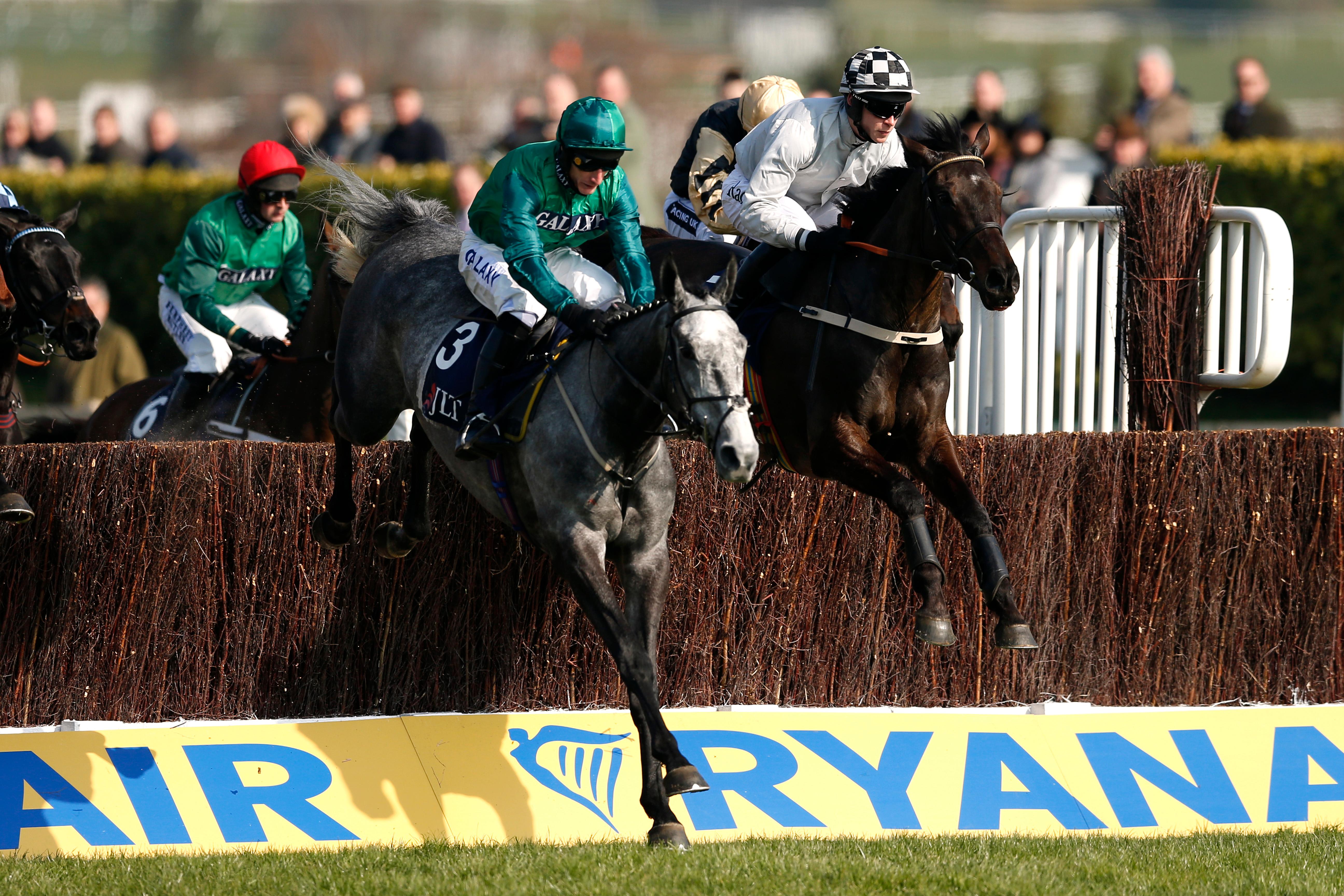 Bristol De Mai out of Grand National