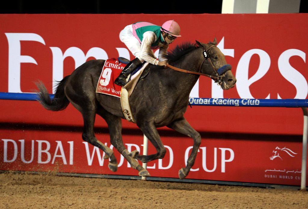 Meydan World Cup Night Preview Racing365 6073