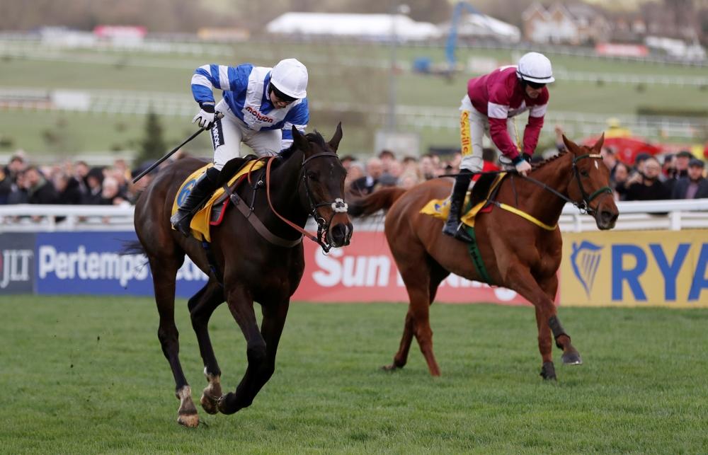 Frodon's Aintree farewell ruled out