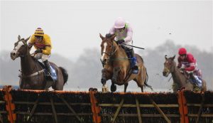 Faugheen out of Punchestown Festival