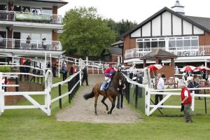 Fell Veteran Rings A Bell