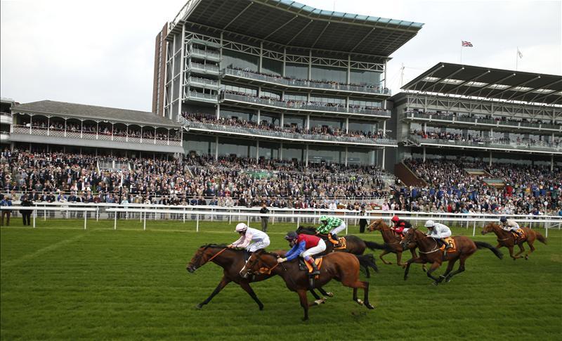 York racecourse