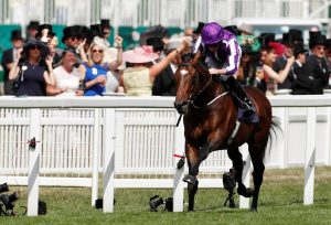 Kew Gardens lined up for Irish St Leger