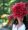 A racegoer in a red flowery hat attends Ladies Day at Royal Ascot on June 21, 2018.