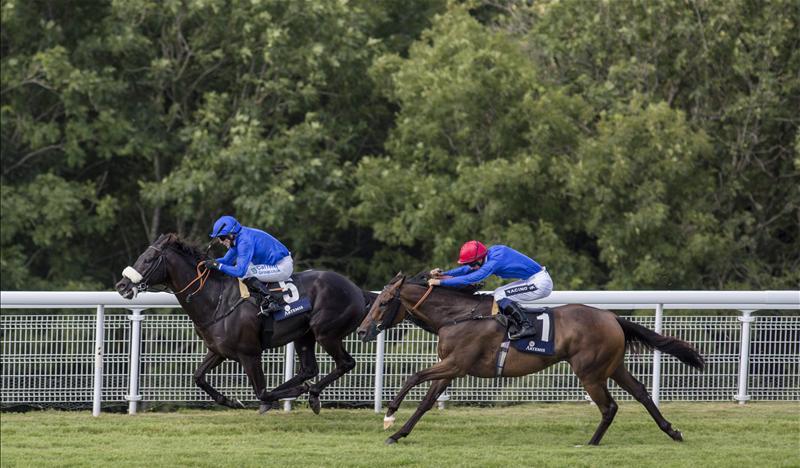 Three-Year-Old Primed For Another Win