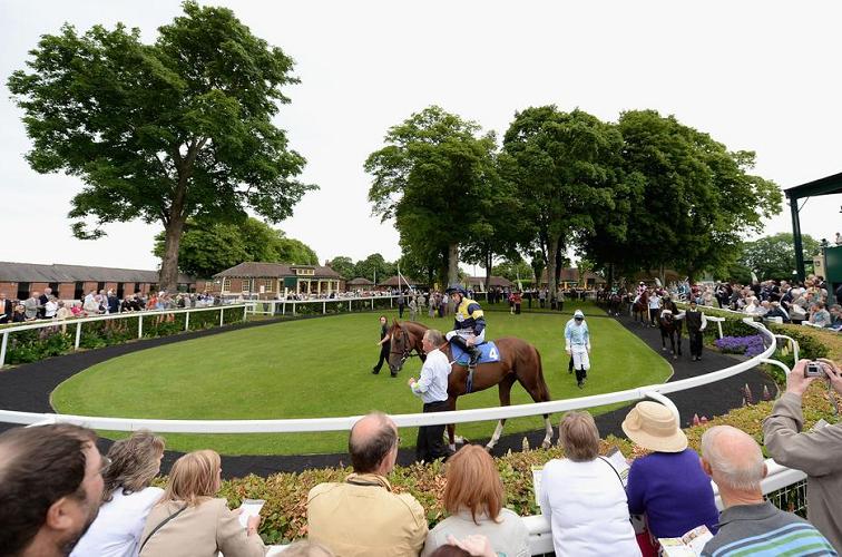 A Sprinter to Note at Ripon