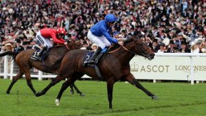 Royal Ascot hero retired