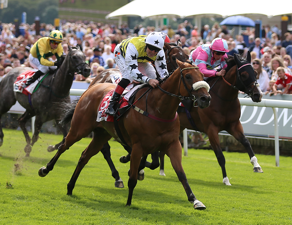 Dakota Gold ridden by Connor Beasley wins The Sky Bet And Symphony Group Stakes during Juddmonte International Day of the Yorkshire Ebor Festival at York Racecourse.