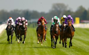 Highland Chief (centre) suffered a back injury when well-beaten in the Royal Lodge Stakes at Newmarket