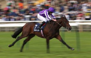 Wichita runs out an impressive winner of the Tattersalls Stakes at Newmarket (Nigel French/PA)