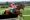 Acapella Bourgeois ridden by Roger Loughran jumps the last to win The Ten Up Novice Steeplechase during Ladbrokes Boyne Hurdle Raceday at Navan Racecourse.