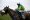 Kimberlite Candy ridden by jockey Richie McLernon going onto win the McCoy Contractors Civil Engineering Classic Handicap Chase at Warwick Racecourse.