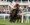 Top Ville Ben ridden by Sean Quinlan during the first lap of the Betway Mildmay Novices' Chase during Ladies Day of the 2019 Randox Health Grand National Festival at Aintree Racecourse.