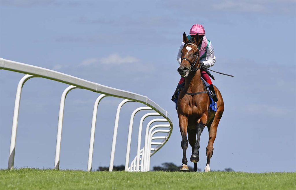 Enable horse