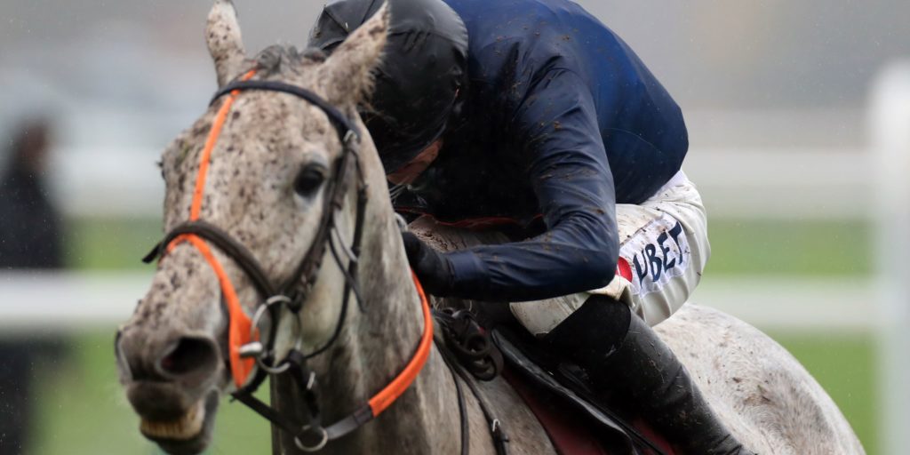 Snow Leopardess on the prowl in National Racing365