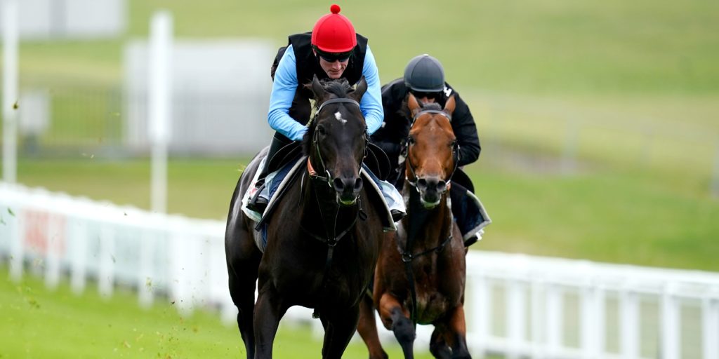 Hang fire is Varian advice for punters on Eydon’s next move Racing365