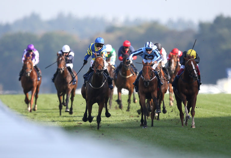 Trueshan ridden by jockey Hollie Doyle (third left), fights out the finish of the British Champions Long Distance Cup with Tashkhan (middle) and Stradivarius (right)