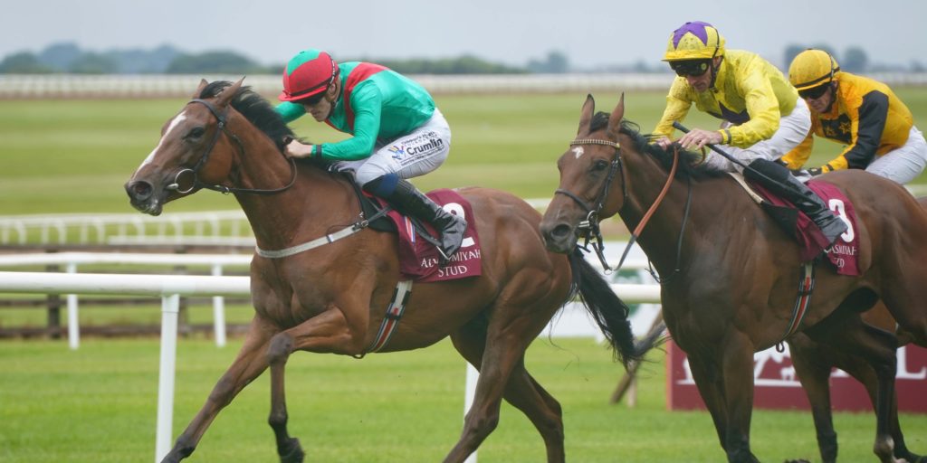 La Petite Coco could join Irish Champion cast Racing365